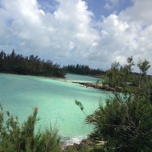 Meet your Posher, Kat